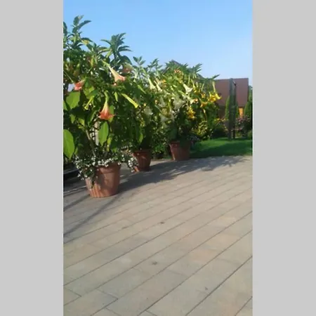 Apartamento Mieszkanie U Basi I Czeslawa